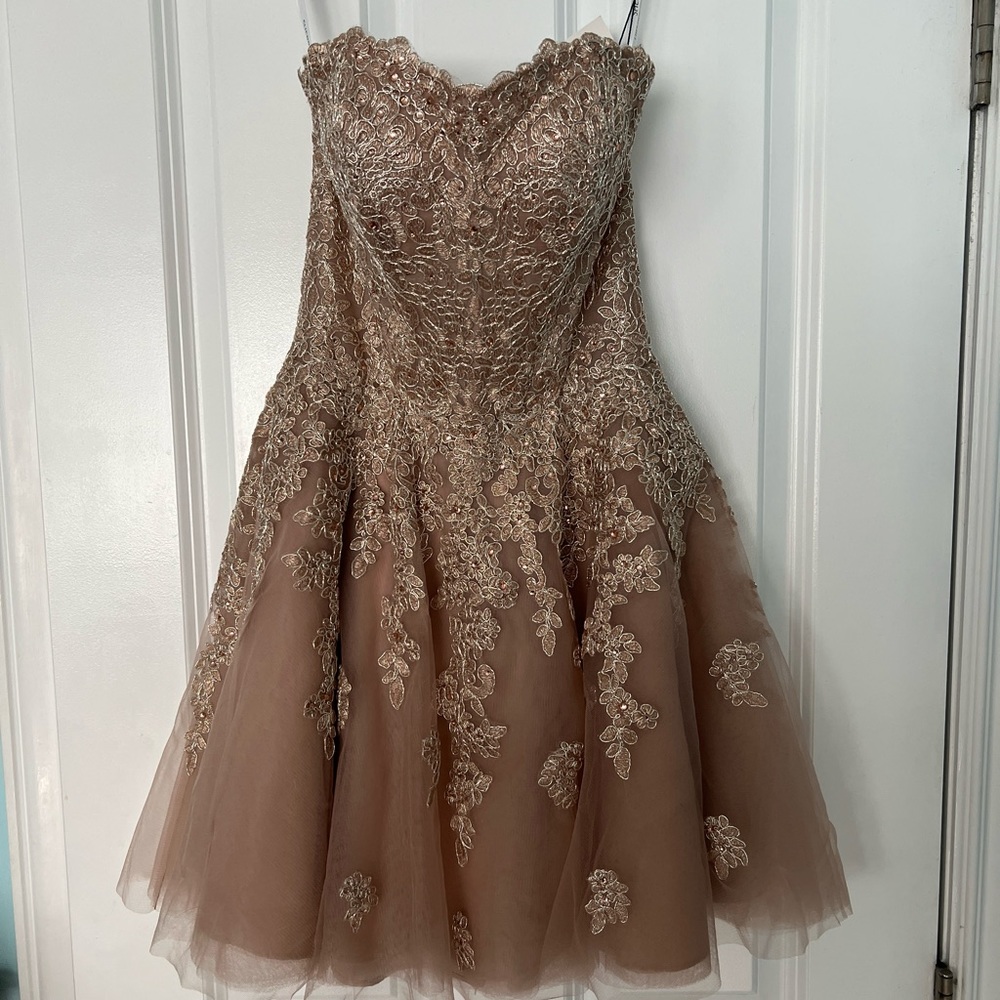 NEW WITH TAGS - Metallic lace and tulle strapless A-line cocktail dress